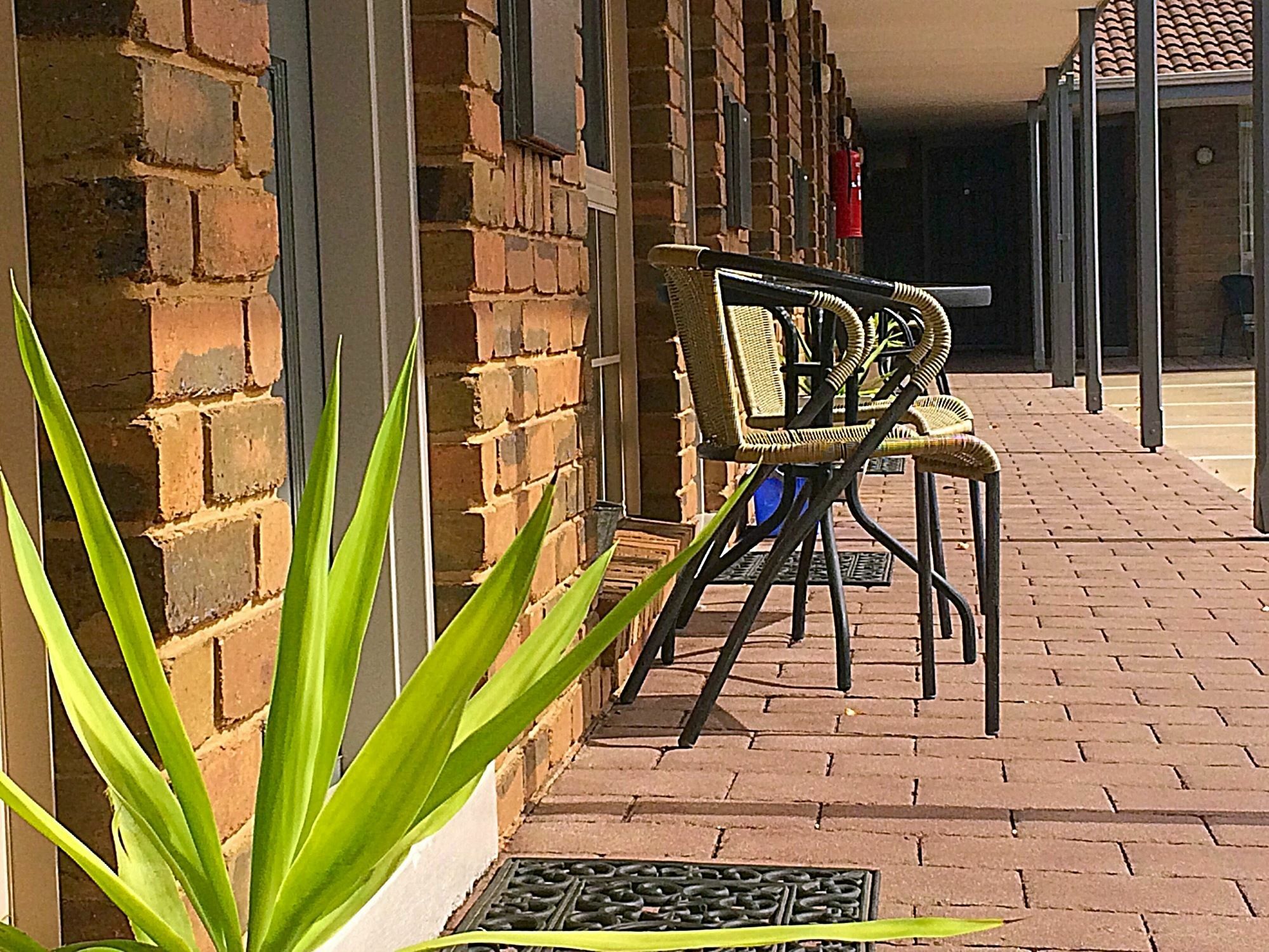 Pevensey Motor Lodge Echuca Exterior foto